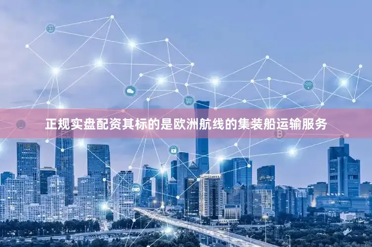 正规实盘配资其标的是欧洲航线的集装船运输服务