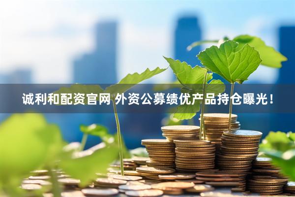 诚利和配资官网 外资公募绩优产品持仓曝光！
